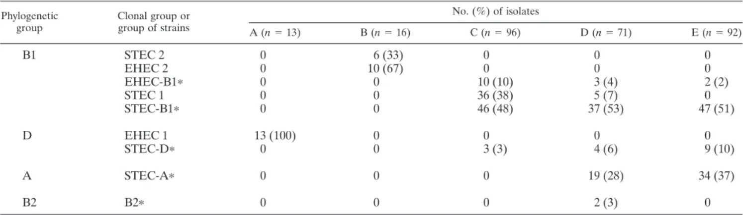 TABLE 4. Phylogenetic distribution of virulence factors and stx subtypes