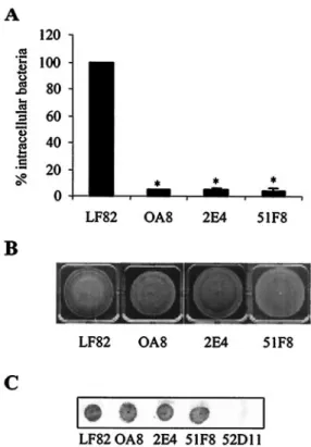 FIG. 2. Phenotype of the E. coli LF82- ⌬ yfgL isogenic mutant. A. Time course of bacterial growth in LB broth of AIEC LF82 wild-type strain (open circles) and LF82- ⌬ yfgL isogenic mutant (black  cir-cles)