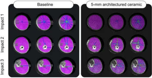 Fig. 14. Microscopic images showing the crack path on the surfaces of the 2.5-, 5- and 10-mm hexagonal architectured ceramics (the color bar represents the distance from the lowest point of cracks.).
