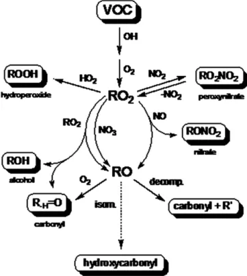 Fig. 15. Simpliﬁed schematic of generic OH initiated degradation chemistry to ﬁrst generation products.