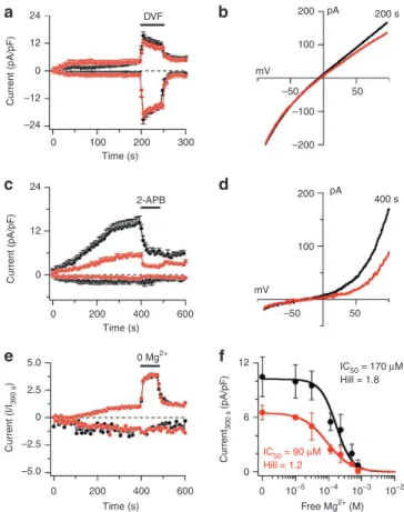 Figure 3 | TRPM7 (MagNuM) currents in mast cells derived from  TRPM7-deficient mice. (a) Average normalized time course of magnum  current development in mouse mast cells isolated from wild-type (black  circles, n = 15) and TRPm7  + /∆kinase  mice (red cir