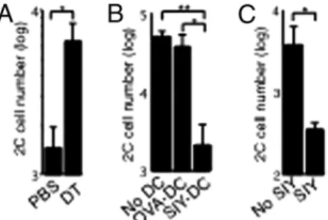 Fig. 3. Antigen-bearing DCs inhibit T CM development. ( A ) Naïve 2C cells were injected into CD11c-DTR/EGFP transgenic mice followed by i.n