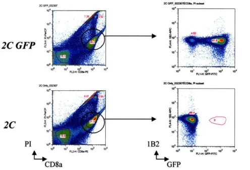 Fig.  1. Nafve  2C  GFP  CD8+  cells  are  a  distinct  population  identified  by  flow  cytometry  analysis
