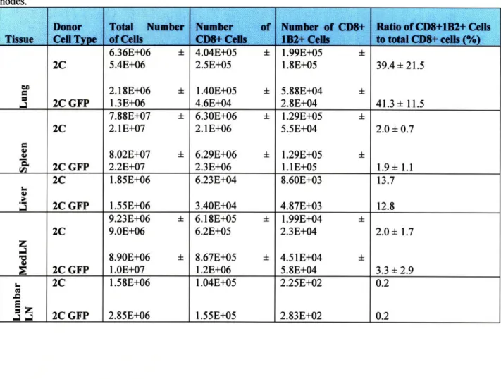 Table  I.  Average  numbers  of antigen-specific  cells  in  2C  and  2C  GFP  recipient  B6  mice  7  days  after  influenza infection