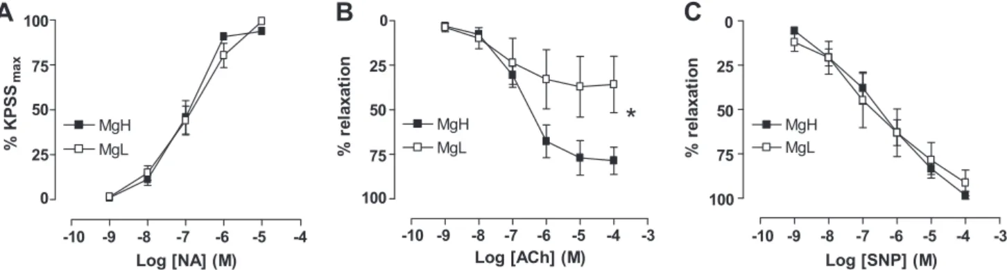 Figure 1. Functional responses of pressurized mesenteric arteries from MgL and MgH mice in response to cumulative additions of (A) norepinephrine, (B) acetylcholine, and (C) sodium nitroprusside