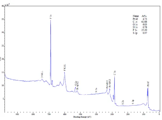 Figure S1 XPS survey spectra of untested standard GDE. 