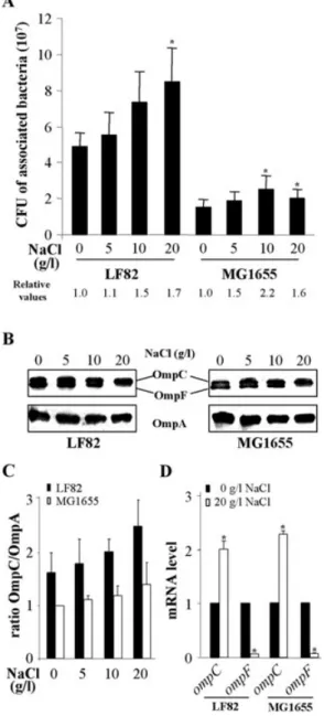 Fig. 1. Effects of high osmolarity in AIEC strain LF82 and K-12 strain MG1655.