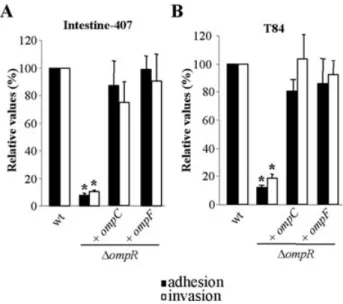 Fig. 7. Adhesion and invasion abilities of LF82-DompR isogenic mutant transcomplemented with cloned ompC or ompF gene.