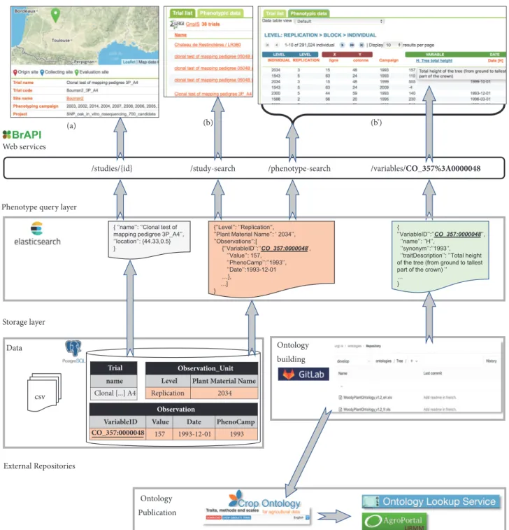 Figure 3: GnpIS-Ephesis Information System architecture. The storage layers uncouple ontology and data