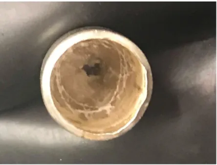 Figure 18. First attempt at crystal growth using PARADIM facilities. A gap ran down the center  of  crucible