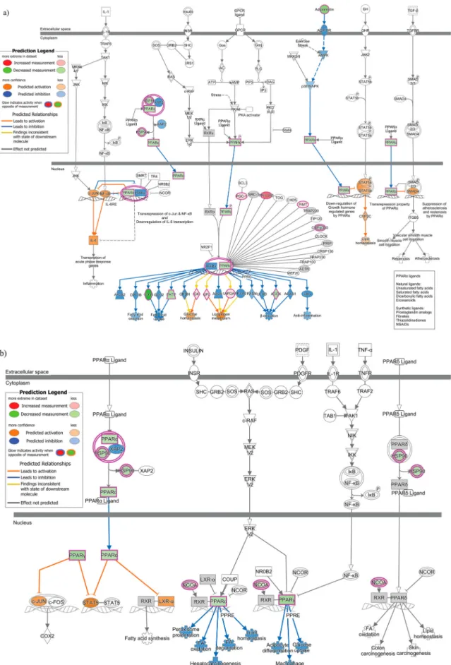 Figure 4. Downstream E ﬀ ects prediction on PPAR signaling pathways by IPA. (a) The gene expression data observed by qPCR array in infected cells was overlaid on PPAR alpha signaling pathway using IPA