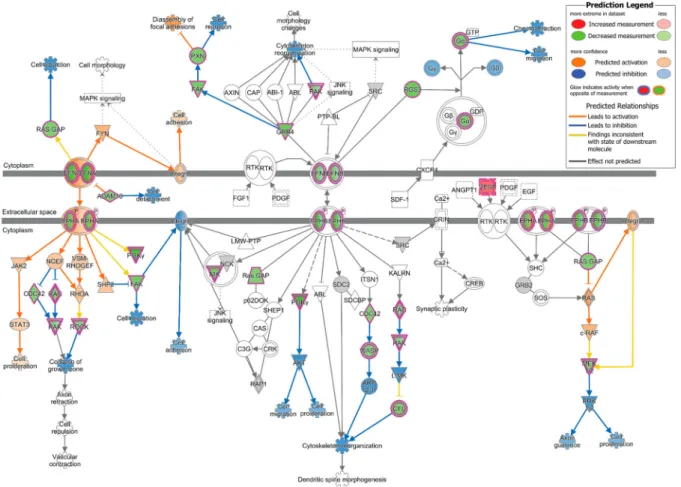 Table 3. Top diseases and bio functions a ﬀ ected in infected cells.
