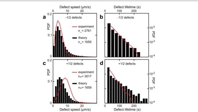 Figure 7. Quantitative comparison of defect statistics between predictions of equation ( 8 ) and experimental data [ 48 ] , using the parameter estimation procedure described in the text