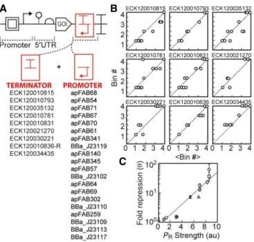 Figure 3. Composability of unidirectional terminators and antisense promoters.