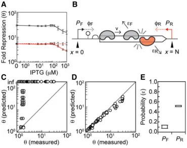 Figure 4. Mechanisms of repression by antisense transcription.
