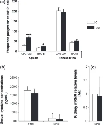 FIG. 2. Changes in expression of splenic iron recycling markers. (a) Spleen relative mRNA levels of genes involved in iron recycling from red cell degradation