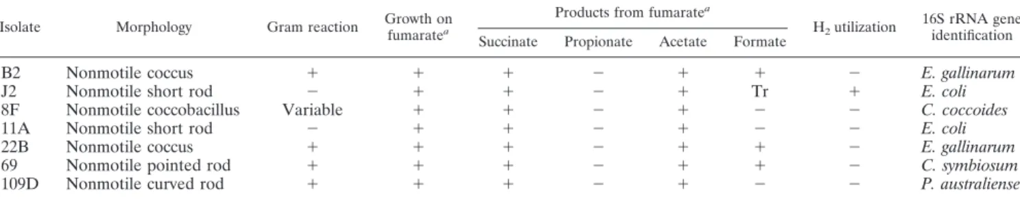 TABLE 8. Identification of predominant ruminal acetogens from meroxenic lambs M1 and M2 lacking methanogens