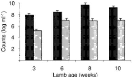 FIG. 2. Consumption of alfalfa pellets by lambs. f , meroxenic lambs M1 and M2; E , meroxenic lambs M3 and M4; Œ , meroxenic lamb M5; ⫻ , conventional lambs C1 and C2.