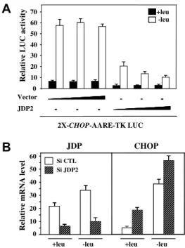Fig. 5. Decrease in the HDAC3 binding to CHOP AARE in response to leucine starvation. (A) Treatment with TSA reverses repression by JDP2
