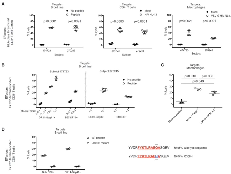 Figure 5. HLA Class II-Restricted CD8 + T Cells Lyse Autologous HIV-Infected Targets Ex Vivo and Exert Putative Immune Selection Pressure In Vivo