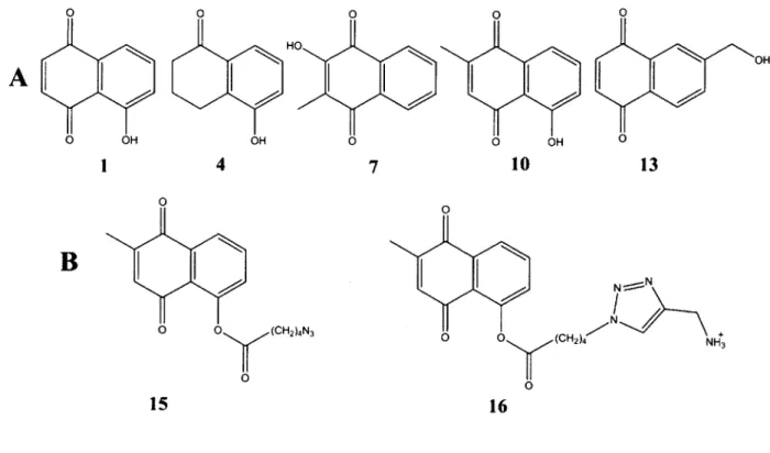 Figure 2-1.  Chemical  structures of (A)  5-hydroxynaphthalene-1,4-dione  (1) and its  analogs 4, 7, 10,  and 13  used  in this study;  (B) modified  10 with an  azide-terminated  spacer arm (15)  for use in conjugating to propargylamine-derivatized  poly-