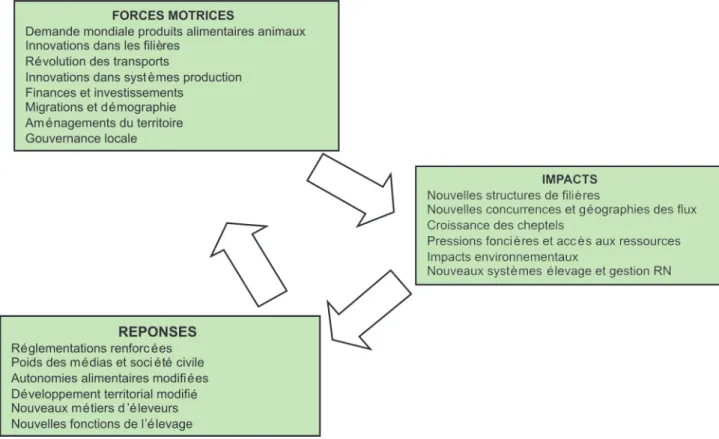 Figure 1. Modèle générique d’analyse des interactions filières animales/territoires dans les régions chaudes.