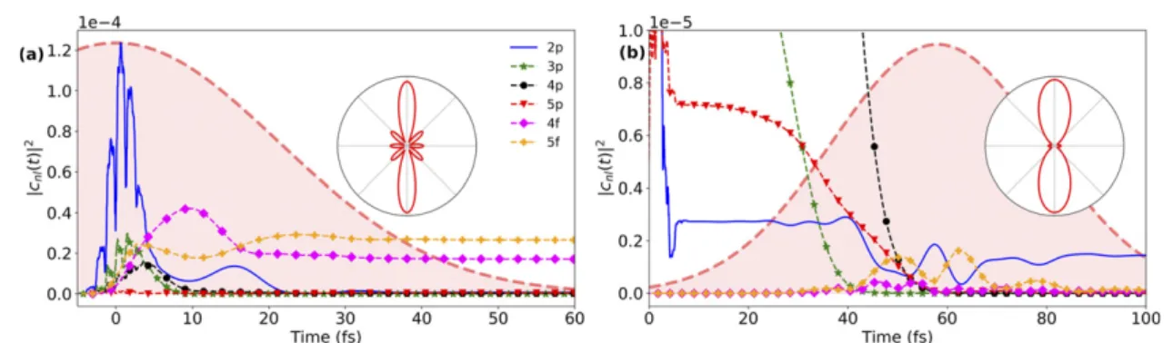Figure 8. (a) and (b): time-dependent Rydberg states populations |c nl (t)| 2 obtained from the effective restricted basis model for a fixed NIR field strength F NIR = 0.01 au (3.51 TW cm −2 ) and a wavelength of λ NIR = 788 nm