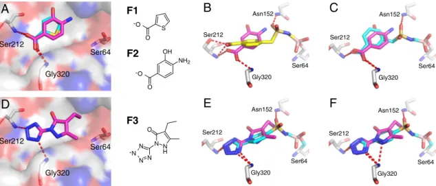 Fig. 1. Fragment-guided modeling of new boronic acids. (A) X-ray structures of fragments F1 (cyan) and F2 (magenta) bound to distal site defined by Ser212 and Gly320