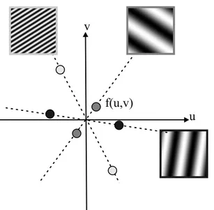 Fig. 2.9: Schéma simplifié d’un spectre de Fourier. Spectre symétrique centré sur la fréquence nulle.