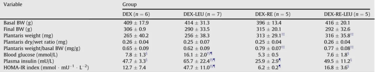 Fig. 1. Body weight (A) and food intake (B) progression data among groups. (A)