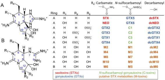 Figure 1. Structures of common paralytic shellfish toxin (PST) analogs and their putative metabolites (M-toxins) as well as common ways they are categorized based on solution charge state or functional group at the C6-position.