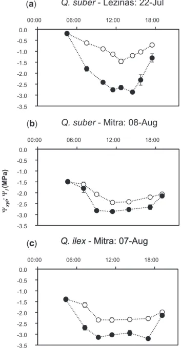 Fig. 5. Frequency distribution of the vessel diameter classes (5- l m classes) (bars) and their relative contribution to the total theoretical conductivity (K h,t ) (lines) in shoots of (a) Q