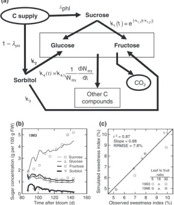 Fig. 2 The SUGAR model of fruit sugar metabolism. (a) Schematic representation of the model (adapted from Ge´nard et al., 2003, by permission of Oxford University Press)