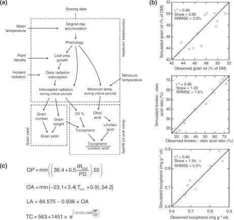 Fig. 4 Sunflower model of seed yield and oil composition. (a) Schematic representation of the model (reproduced from Pereyra-Irujo &amp;