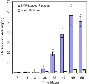 Fig.  13.    Effect  of  prolonged  exposure  to  release  medium  collected  from  rhBMP-2-loaded  composite  microparticles  on  osteocalcin  levels