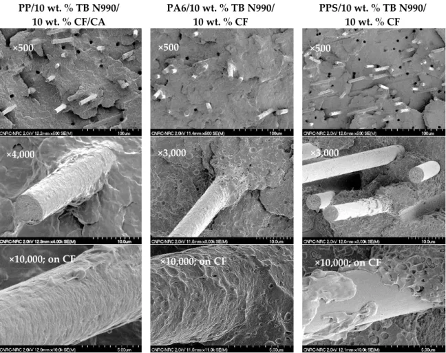 Figure 10 shows SEM micrographs obtained on fractured surfaces resulting from mechanical testing of hybrid specimens based on PP, PA6, and PPS matrices containing 10 wt