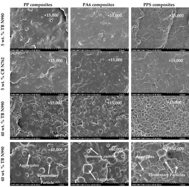 Figure 3. SEM micrographs of PP, PA6, and PPS compounds containing 5 wt. % TB N990 (1st row), 5 wt