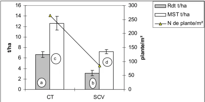 Figure 7: Comparaison du rendement des traitements irrigués SCV et CT en 2004/2005 