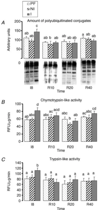 Figure 3 shows the amount of the pro- and the anti-apoptotic proteins XIAP and Smac/DIABLO