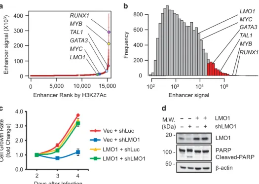 Figure 4. Analysis of the LMO1 aberrant active enhancer and the requirement of LMO1 expression for cell survival in Jurkat cells.