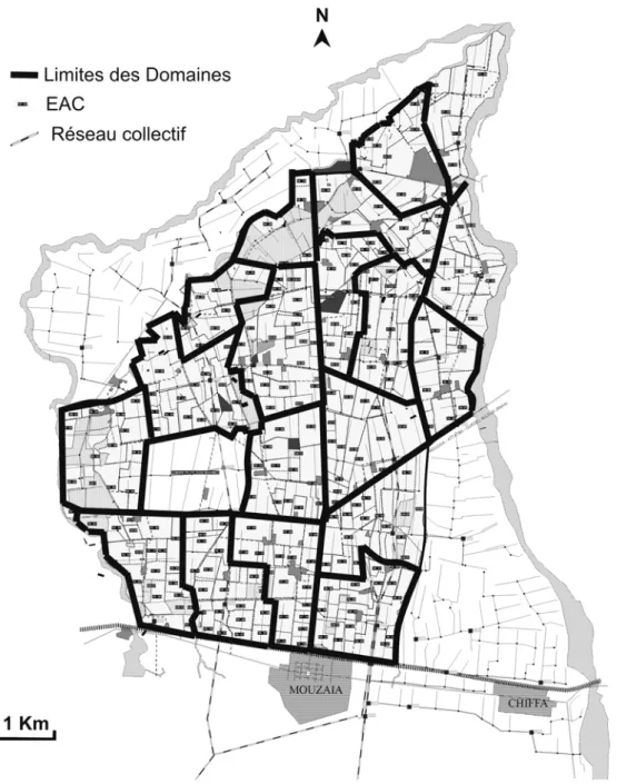 Figure 10. Limites des DAS et structure du réseau collectif d’irrigation pour la commune de  Mouzaïa