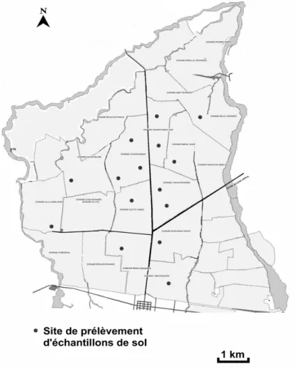 Figure 17. Localisation des sites de prélèvement des échantillons de sol dans la Mitidja-ouest