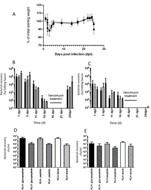 Figure 8. Impact of intranasal vaccination of mice with KLH peptide conjugates + CT on acute and relapsing C