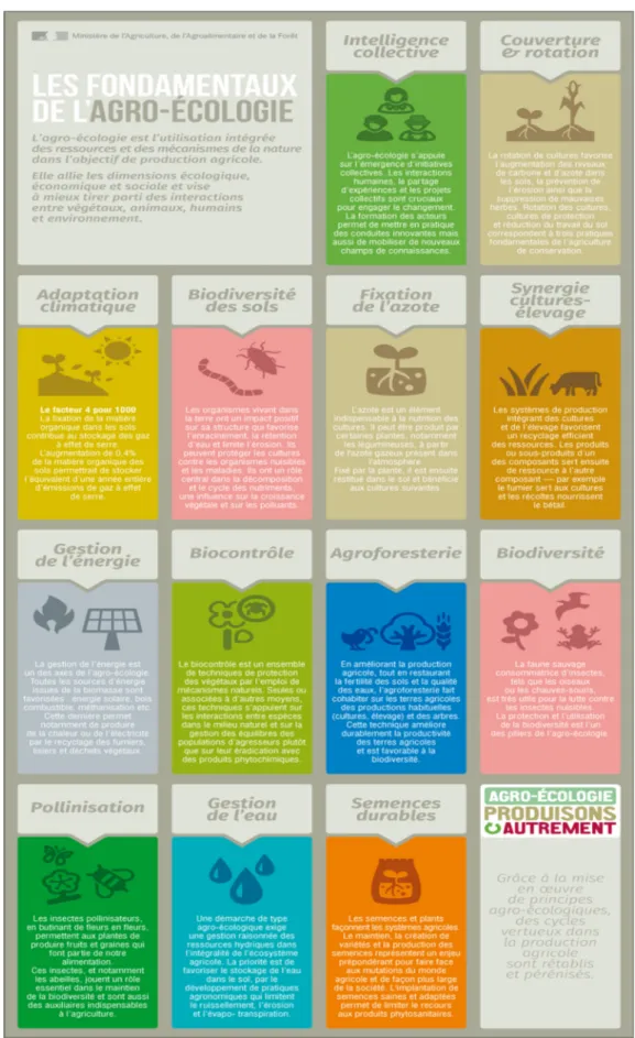 Fig. 1. Les fondamentaux de l’agroécologie (source : Ministère de l’Agriculture et de l’Alimentation, http://infographies.