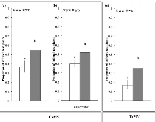 Fig 2. Aphid-transmission of CaMV and TuMV from turnip plants grown under Well-Watered (WW) or Water Deficit (WD) conditions