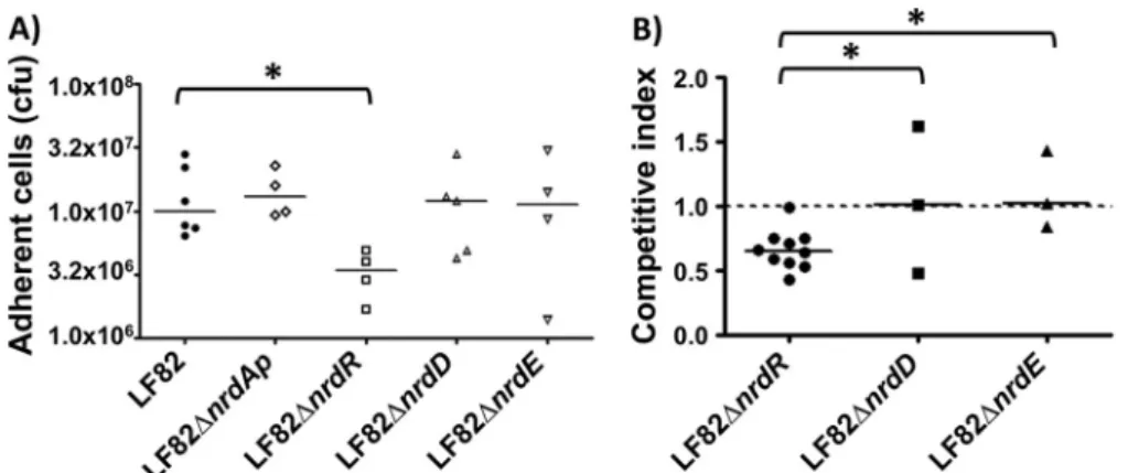FIG 6 Bacterial persistence in the gut of CEABAC10 mice. Quantification of LF82, LF82 ⌬ nrdR, LF82 ⌬ nrdE, and LF82 ⌬ nrdD bacteria in the feces of CEABAC10 mice that received 0.25% DSS in their drinking water after oral infection with 10 9 bacteria at day