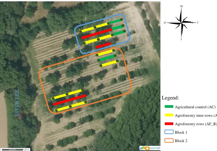 Figure 5: Representation of the apple trees experimental design of domaine de Restinclières.