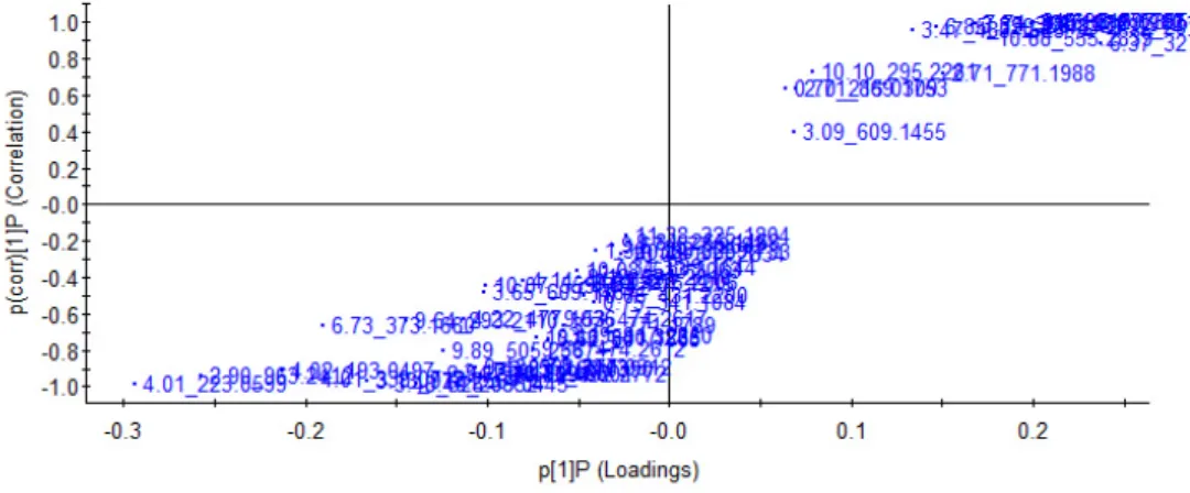 Figure 4. (A) Score plot of principal component analysis (unsupervised) based on UPLC–Q-TOF/MS  spectra of different moist cooking blanching treatments
