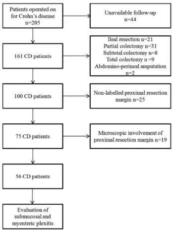 Figure 1. Study flow chart explaining the selection of the included Crohn’s  disease patients.