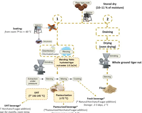 Figure 1. Flowchart showing industrial processing of tiger nuts (1) beverages and (2) flours